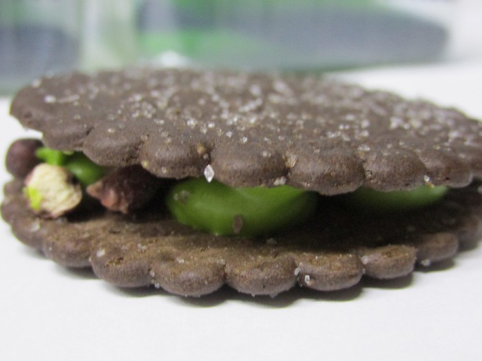 【コンビニ新商品・お菓子】 東ハト ハーベスト チョコサンド抹茶あずき の巻の写真4