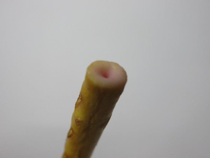 【コンビニ新商品・お菓子】 ロッテ トッポ 恋味いちご の巻の写真3
