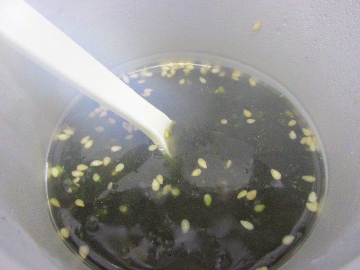 【コンビニ新商品・カップスープ】　ポッカサッポロ　素材屋海苔どっさりスープ　の巻の写真5