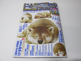 小学館 ビックコミック オリジナル